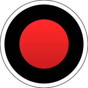 画面録画ソフト：Bandicamのアイコン