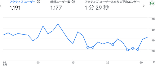 2025年6月のアクセス：デジえしべる