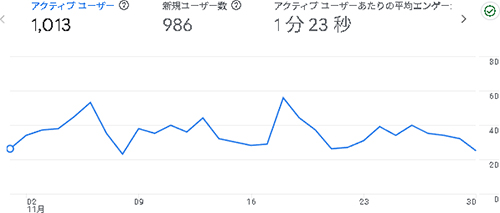2025年11月のアクセス：えでくー