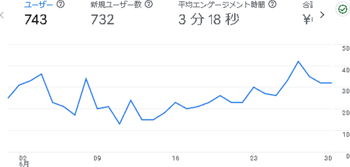 ホントのこと(仮)の2024年6月のアナリティクス